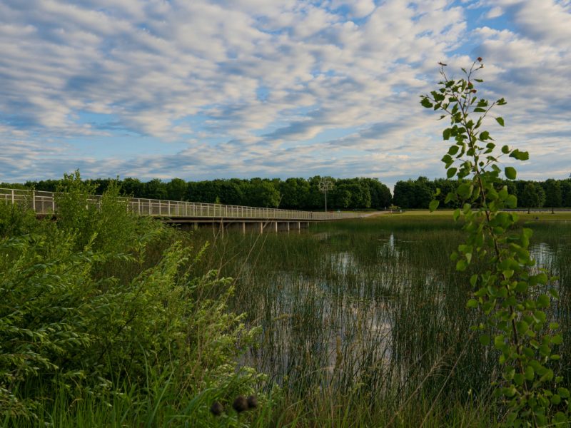 V Brněnské přehradě přetrvává zvýšený výskyt sinic a chlorofylu